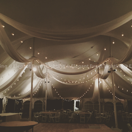 Tent Ceiling Draping & Cafe Globe Lighting | Morton Arboretum